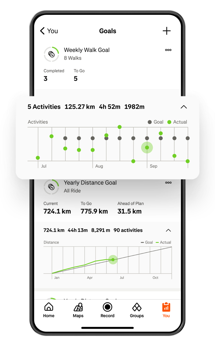 Strava goals screen